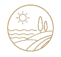 ocean view icon